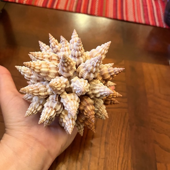 Shell sphere. Island decor 5 inch tall. - Picture 6 of 7